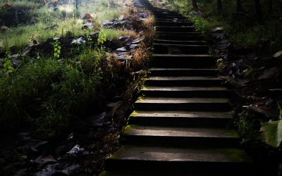 Setting Goals the S.M.A.R.T. Way