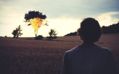 Immunity and Trauma Healing