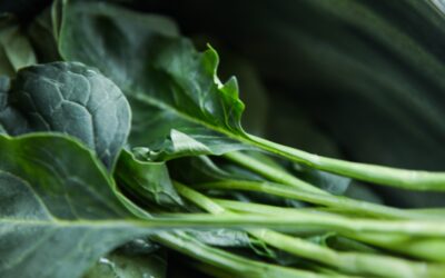 Sautéed Collard Greens with Garlic